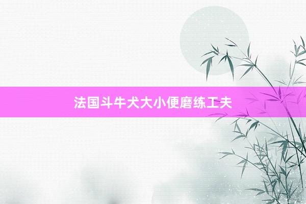 法国斗牛犬大小便磨练工夫