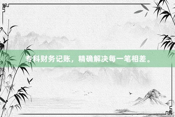 专科财务记账，精确解决每一笔相差。